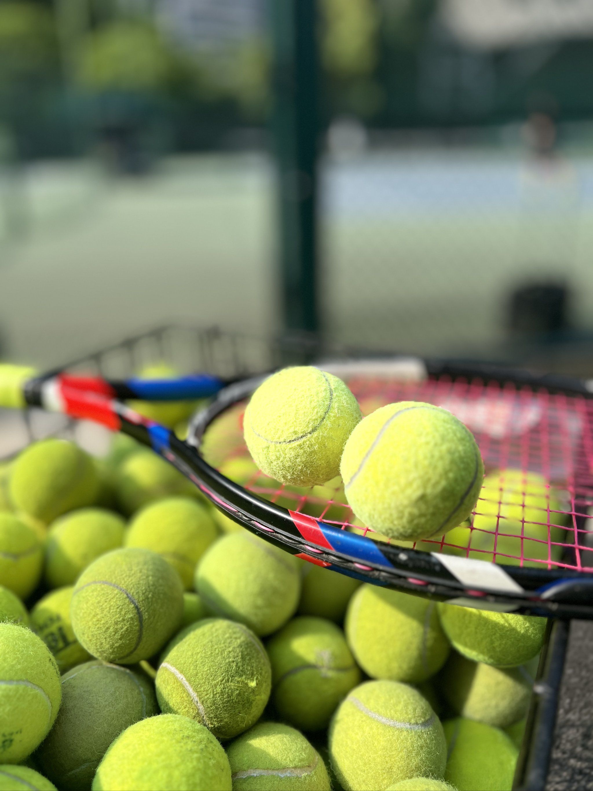 确保优化同 确保优化同